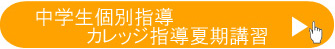 中学生個別指導カレッジ夏期講習
